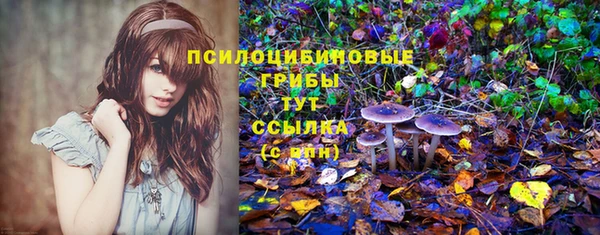 mix Киренск