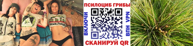 Псилоцибиновые грибы Magic Shrooms  даркнет сайт  Малоархангельск 